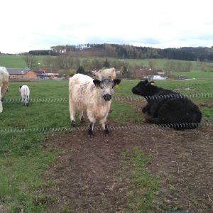 farma_7_20190425_1845771952
